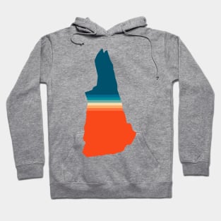 New Hampshire State Retro Map Hoodie